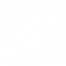 Advanced Power Leaf ICON