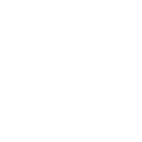 ICON Volatile Markets white